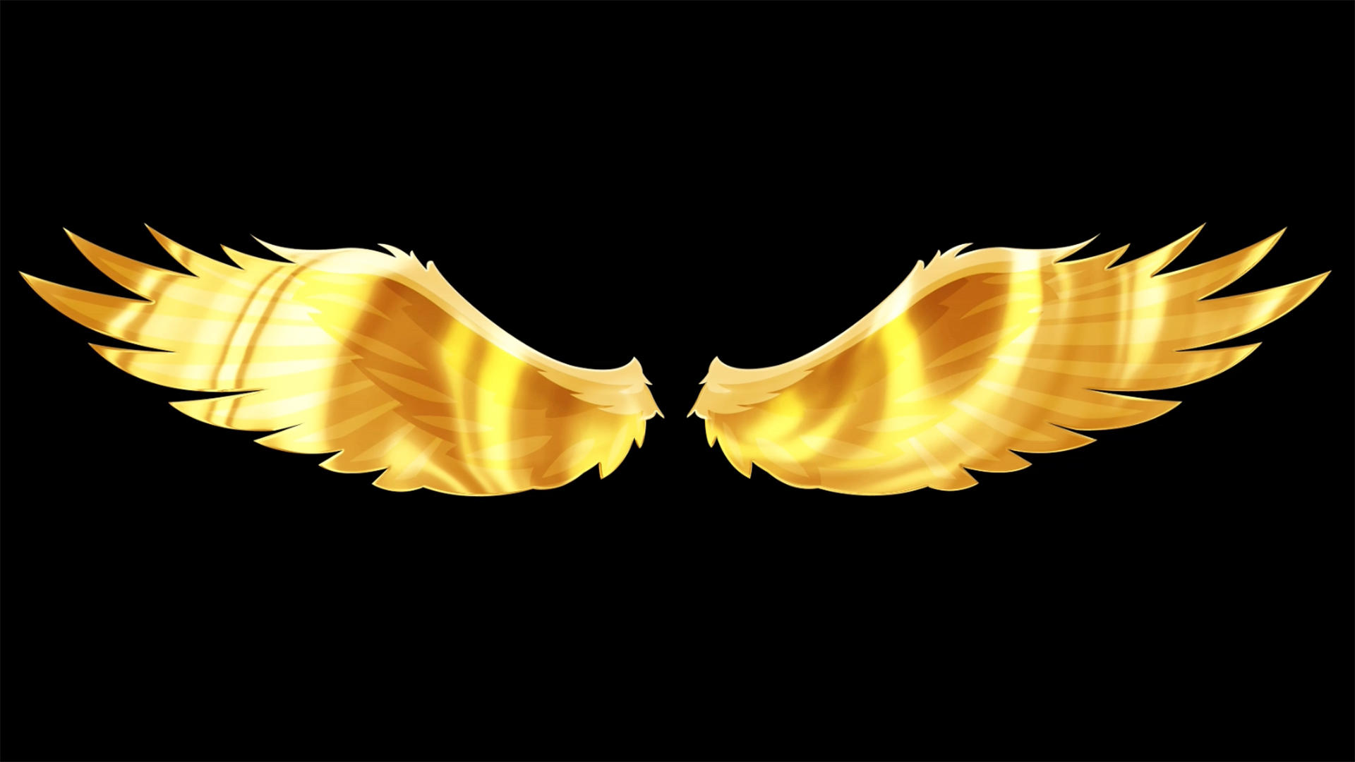 金翅膀特效动画元素带透明度视频的预览图