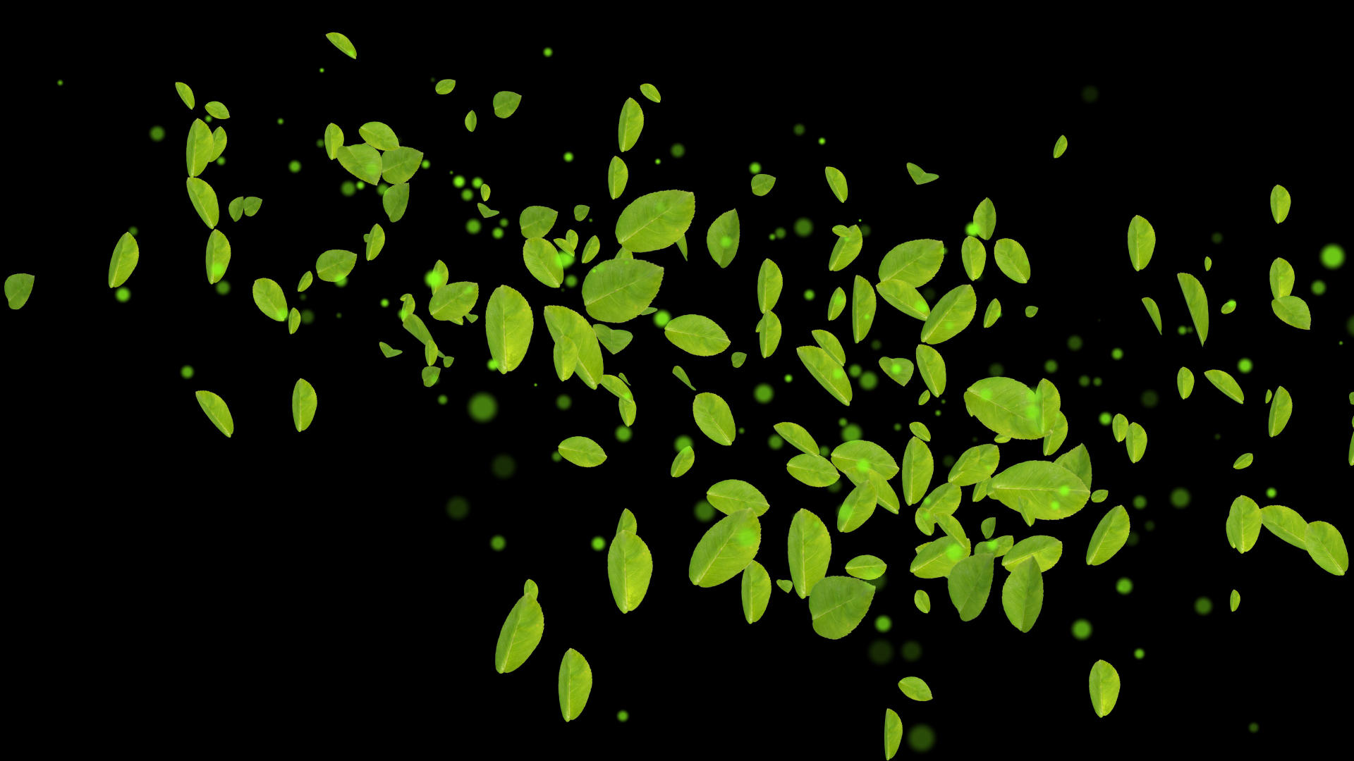 绿色环保绿叶动态元素带通道视频的预览图