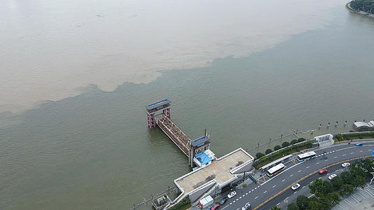 航拍长江中下游防汛期最险段监测汛情的龙王庙段水位线标识塔素材视频的预览图