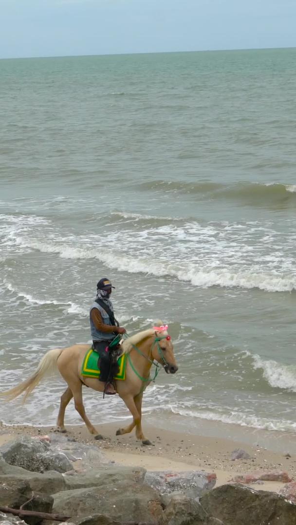 夏季海滨骑马少年实拍集合视频的预览图