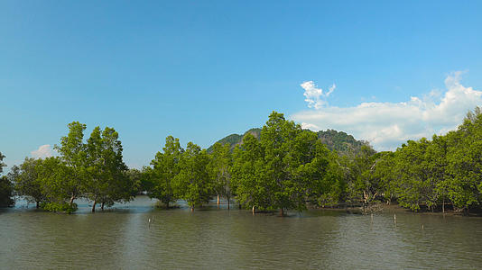 泰国南部海岛红树林延时4K视频的预览图