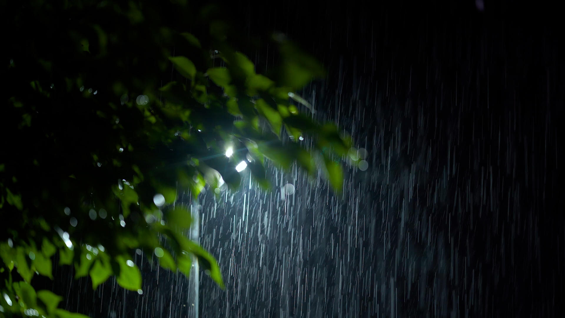 4k实拍夏日夜晚下的大暴雨雨水雨滴视频的预览图