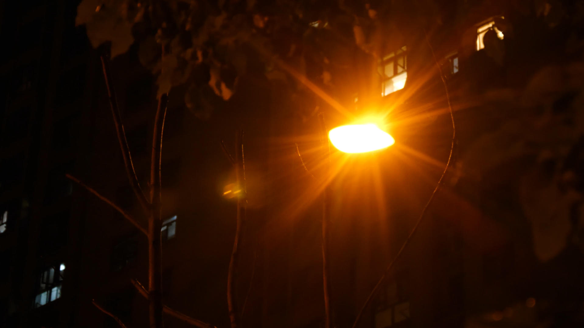 4K夜晚路灯昏黄的路灯小区旁的路灯视频的预览图