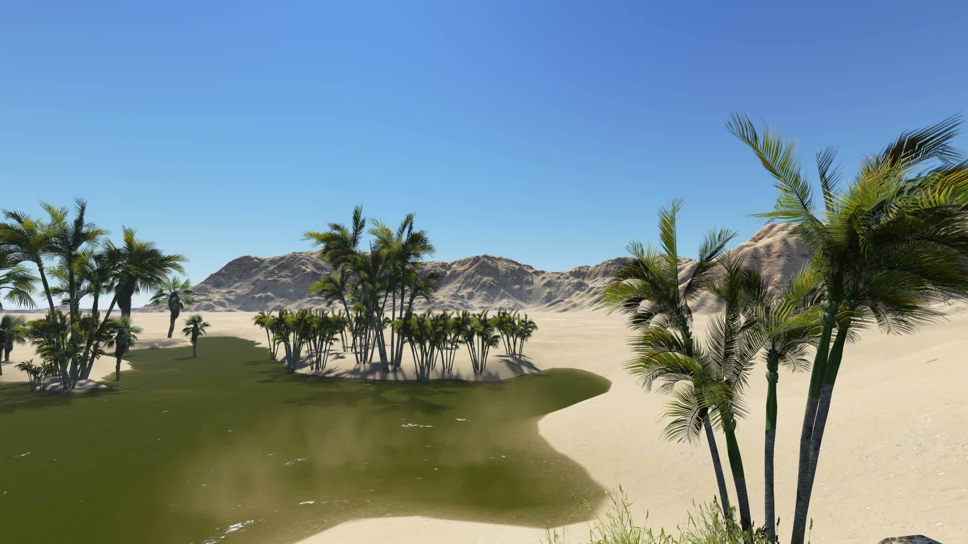 以3D由软件制成的沙漠绿洲视频的预览图