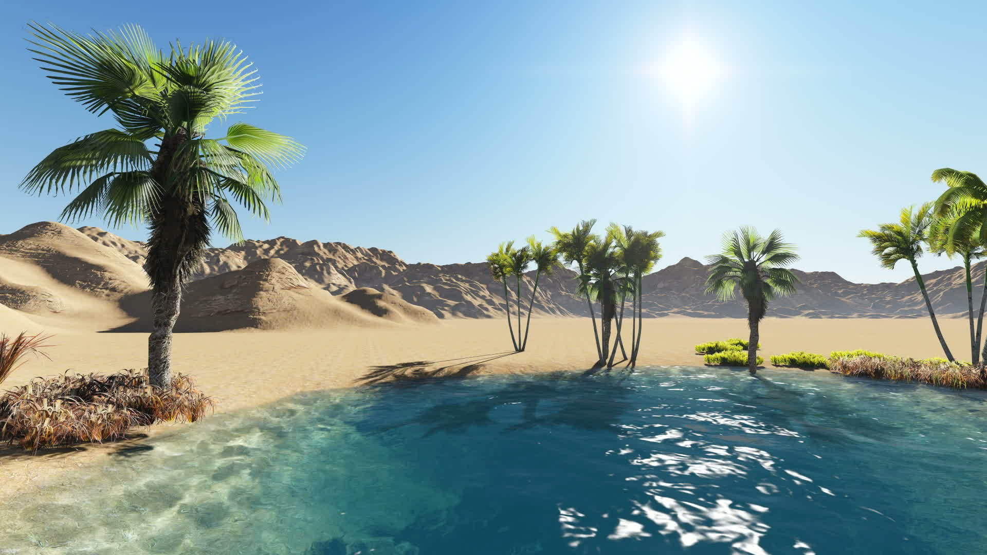 3D沙漠绿洲视频的预览图