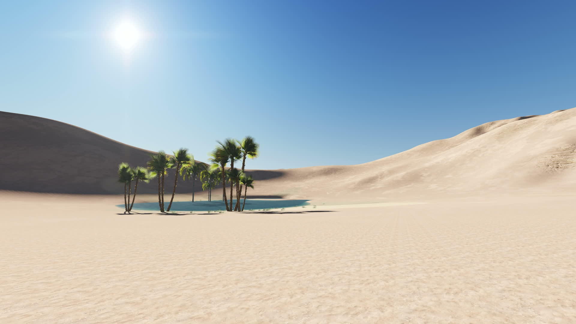以3D由软件制成的沙漠绿洲视频的预览图