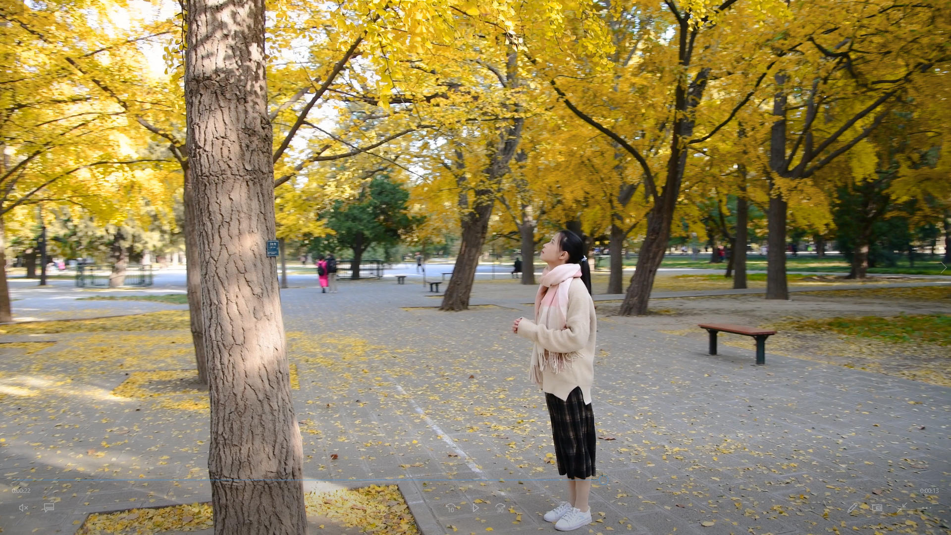 4K秋天银杏树下的少女视频的预览图