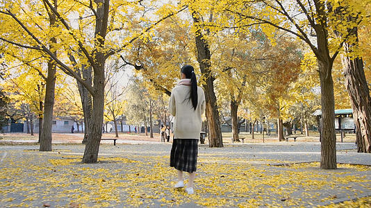 4K秋天银杏树下的少女的预览图