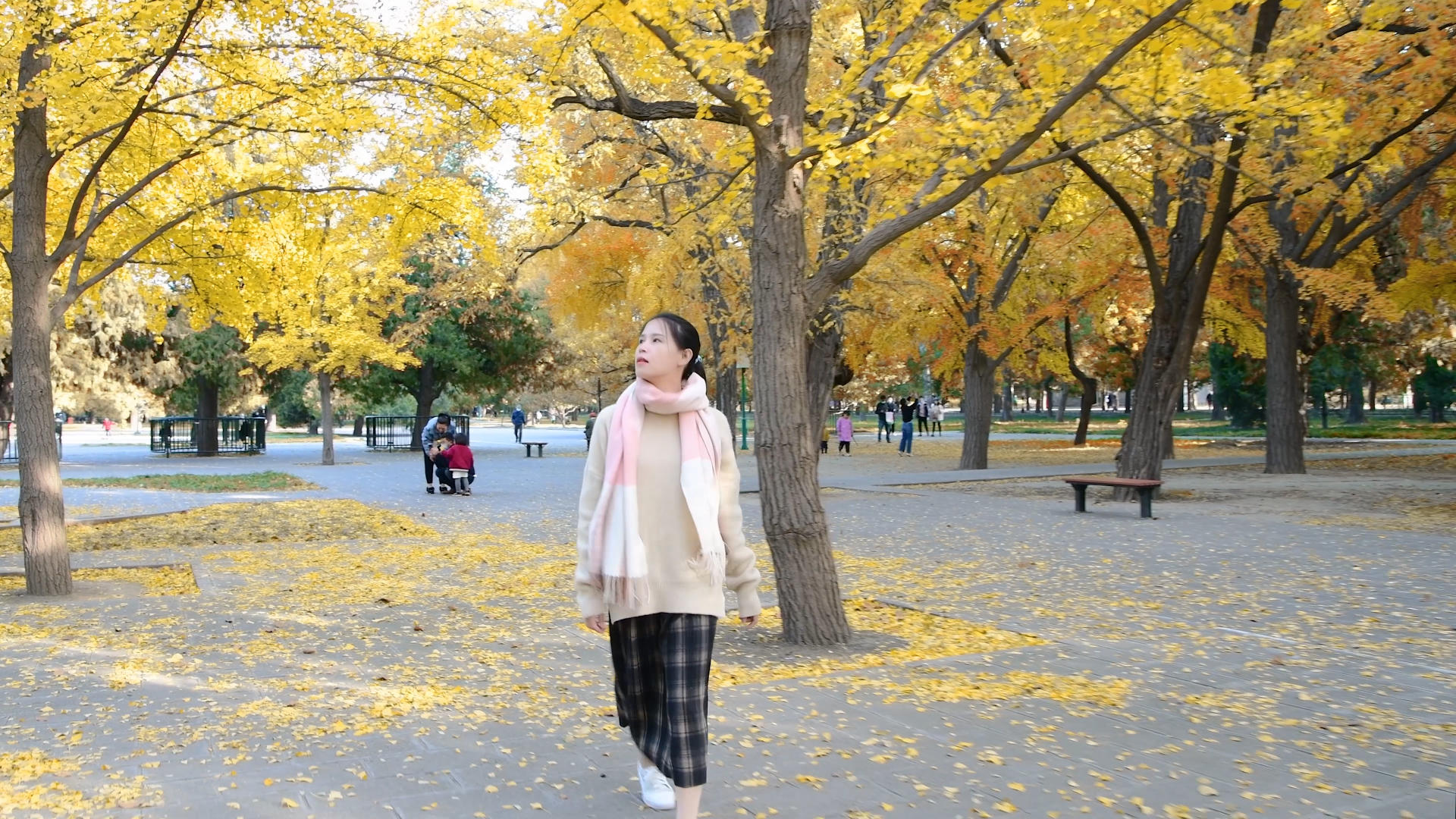 4K秋天银杏树下的少女视频的预览图