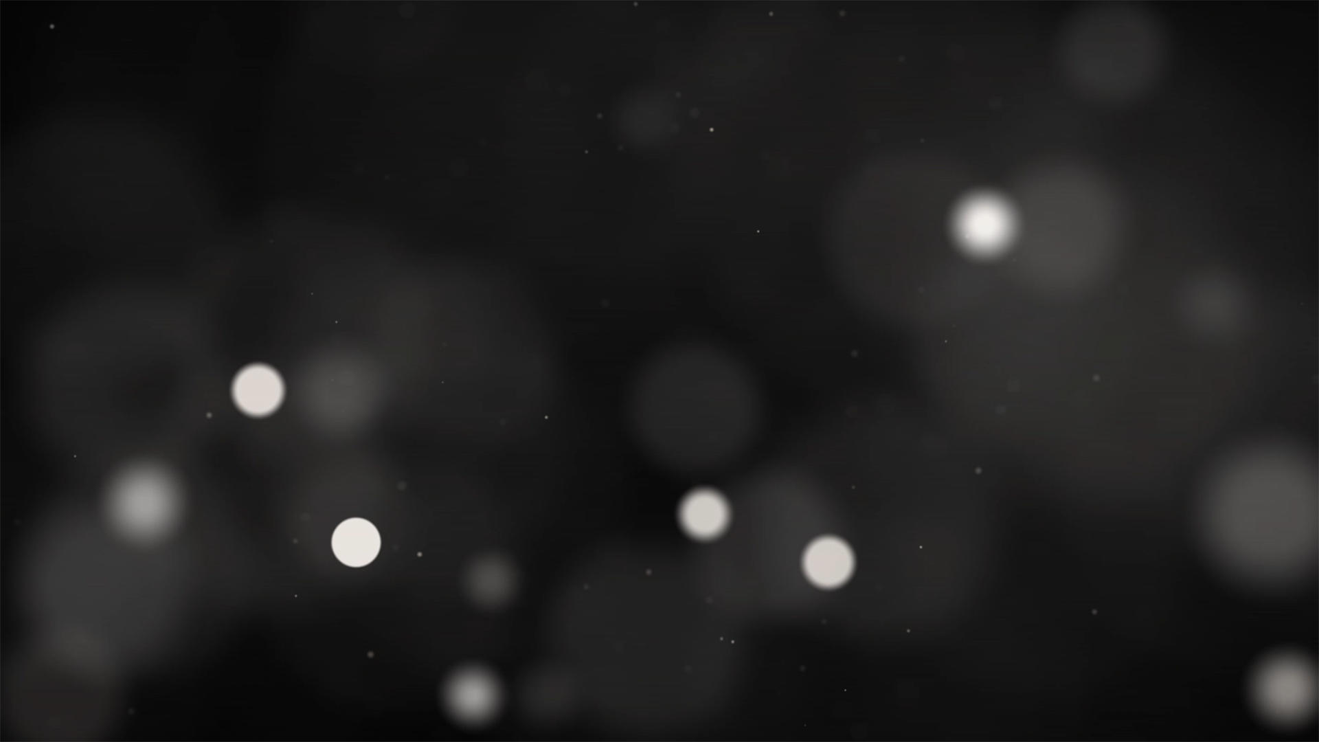 白色粒子动画元素带透明度通道视频的预览图
