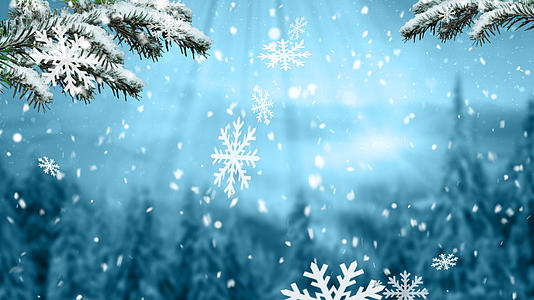 4K冬天大雪纷飞森林美丽动态背景视频视频的预览图