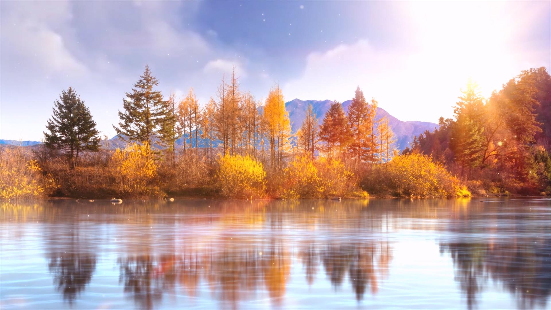简洁美观的秋分节气视频视频的预览图