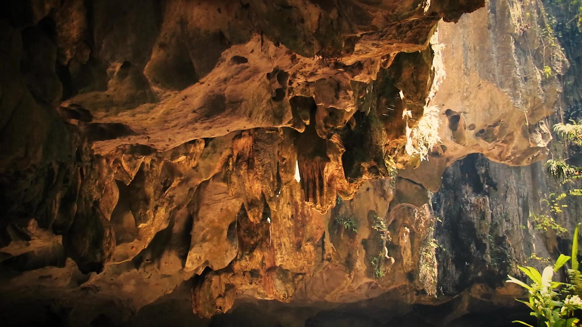 森林洞穴中的风景视频的预览图