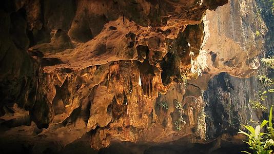 森林洞穴中的风景视频的预览图