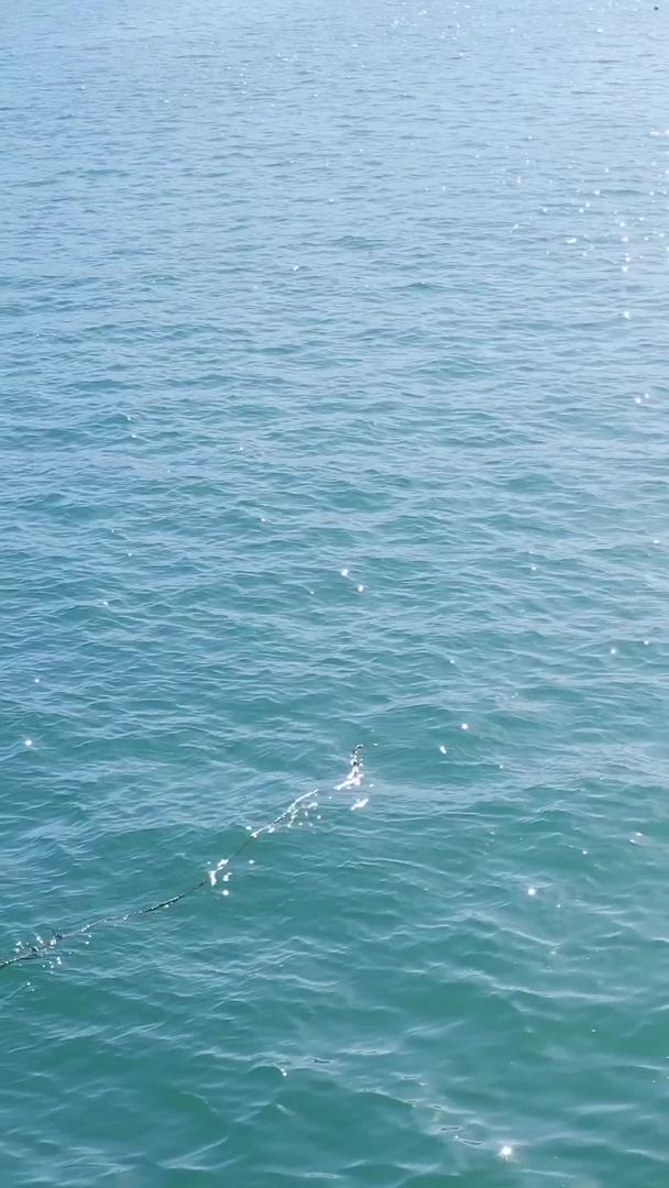 实拍海水水面波光粼粼的视频素材视频的预览图