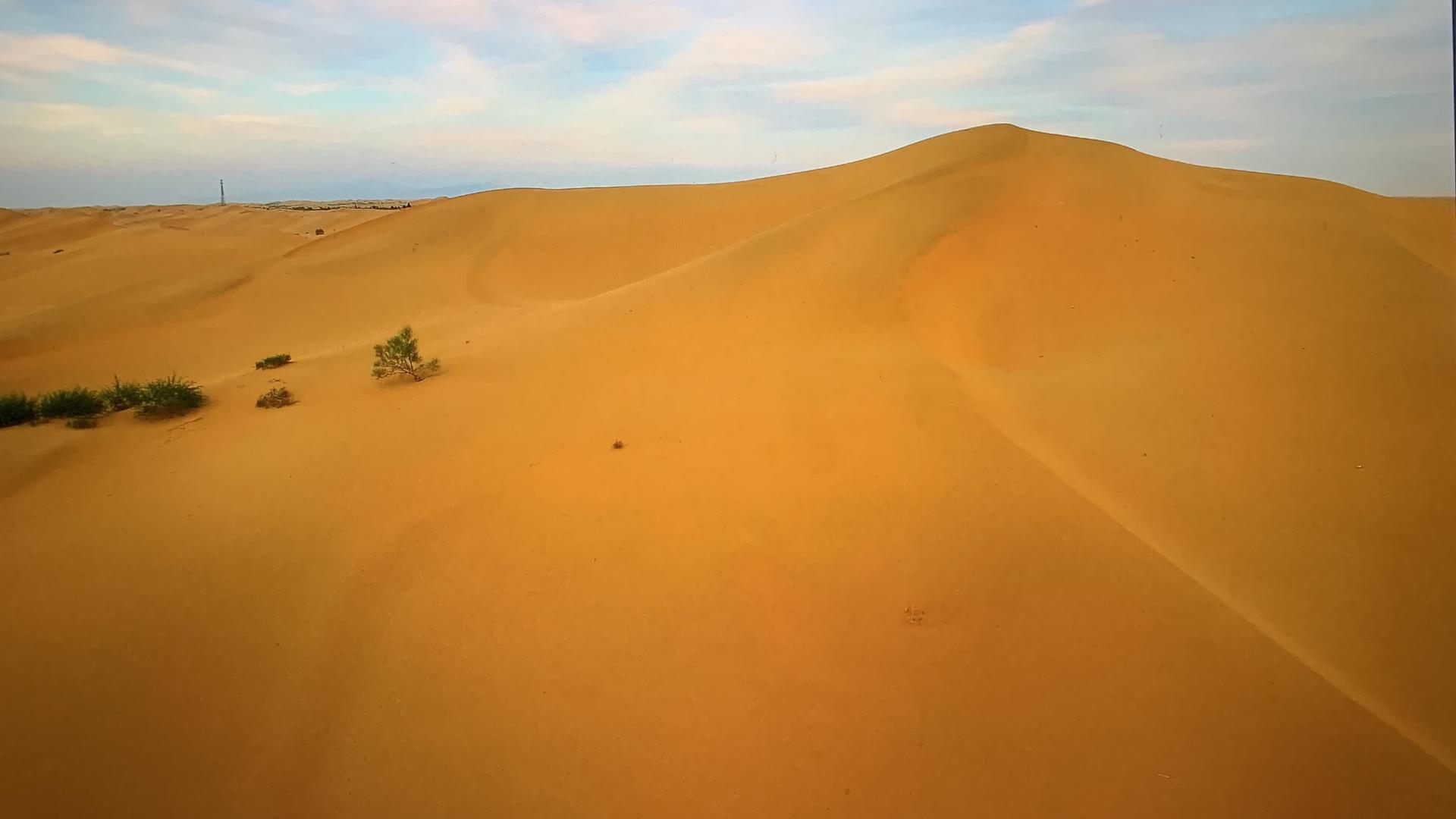 沙漠线条视频的预览图