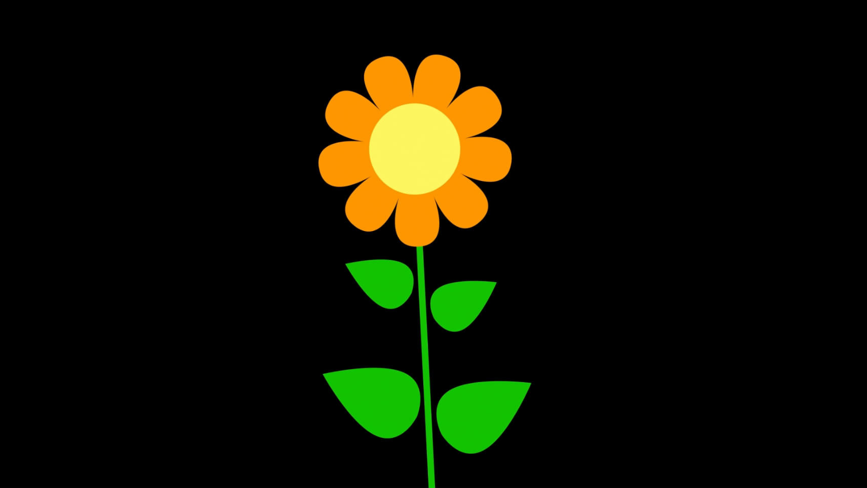 mg动态花朵生长视频素材视频的预览图