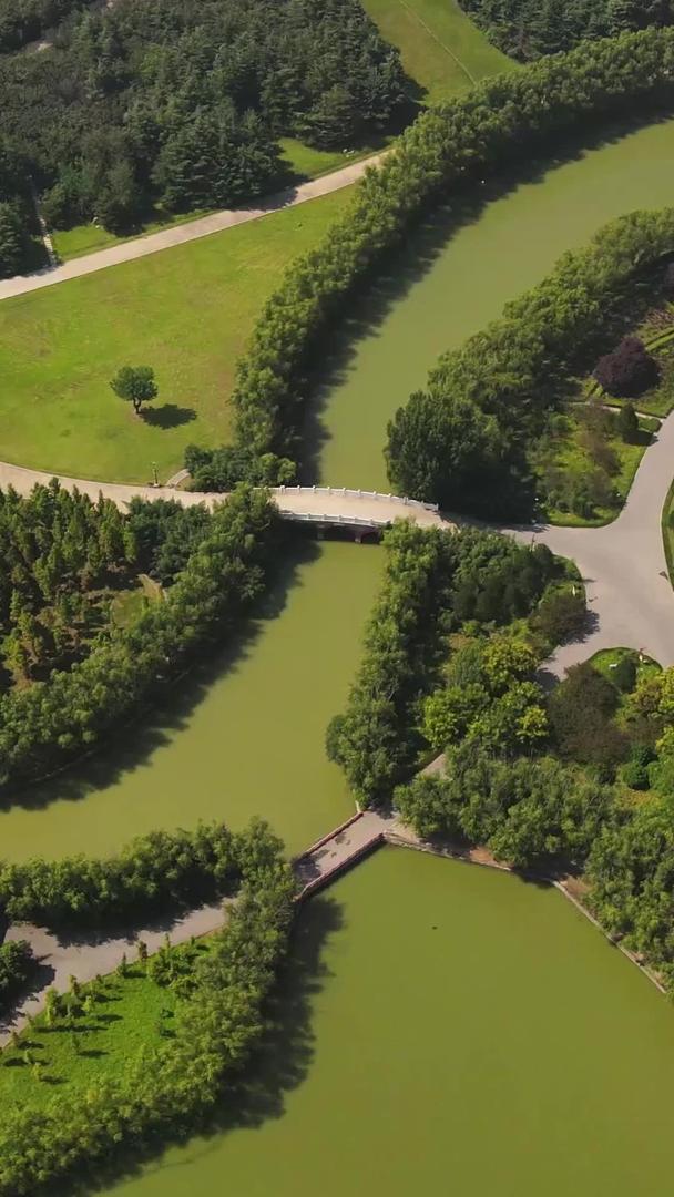 大型湿地公园候鸟栖息地视频的预览图