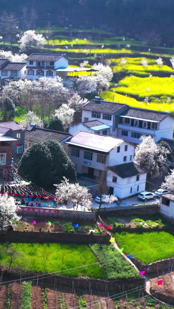春季乡村风光乡村振兴视频素材视频的预览图