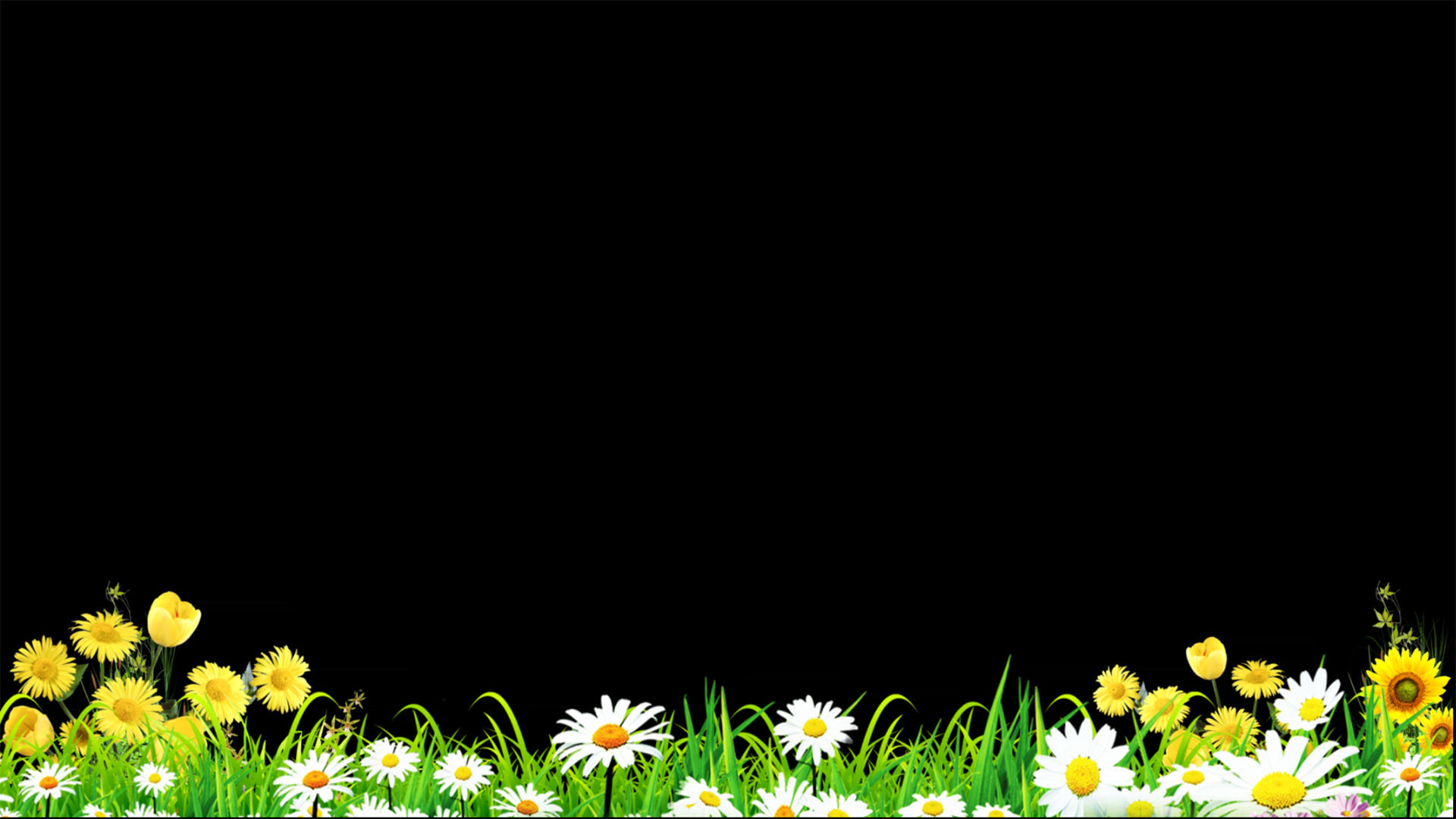 草丛花朵摆动动画元素带透明度通道视频的预览图