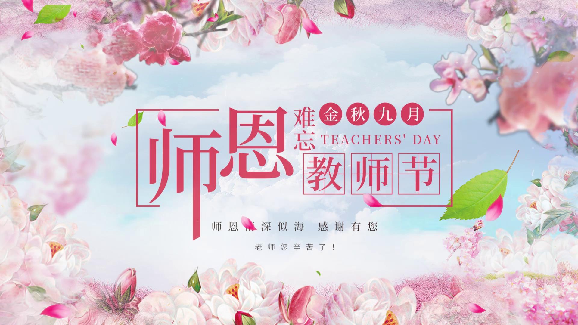 唯美清新教师节祝福图文视频的预览图