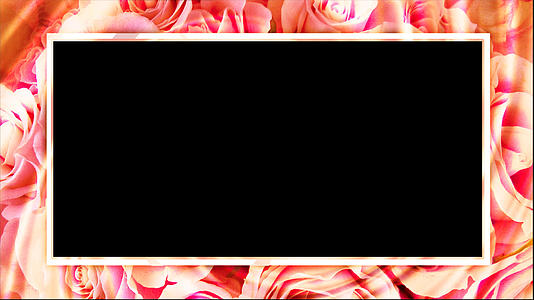 玫瑰花边框动画元素带透明度通道视频的预览图