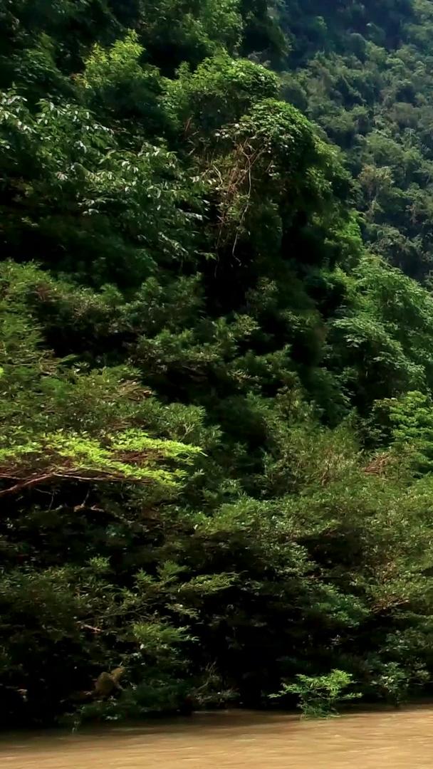贵州大七孔景区自然风光泛舟视频的预览图