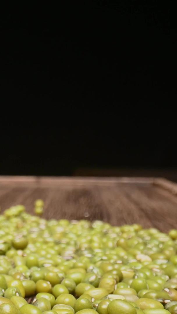 绿豆推进视频的预览图