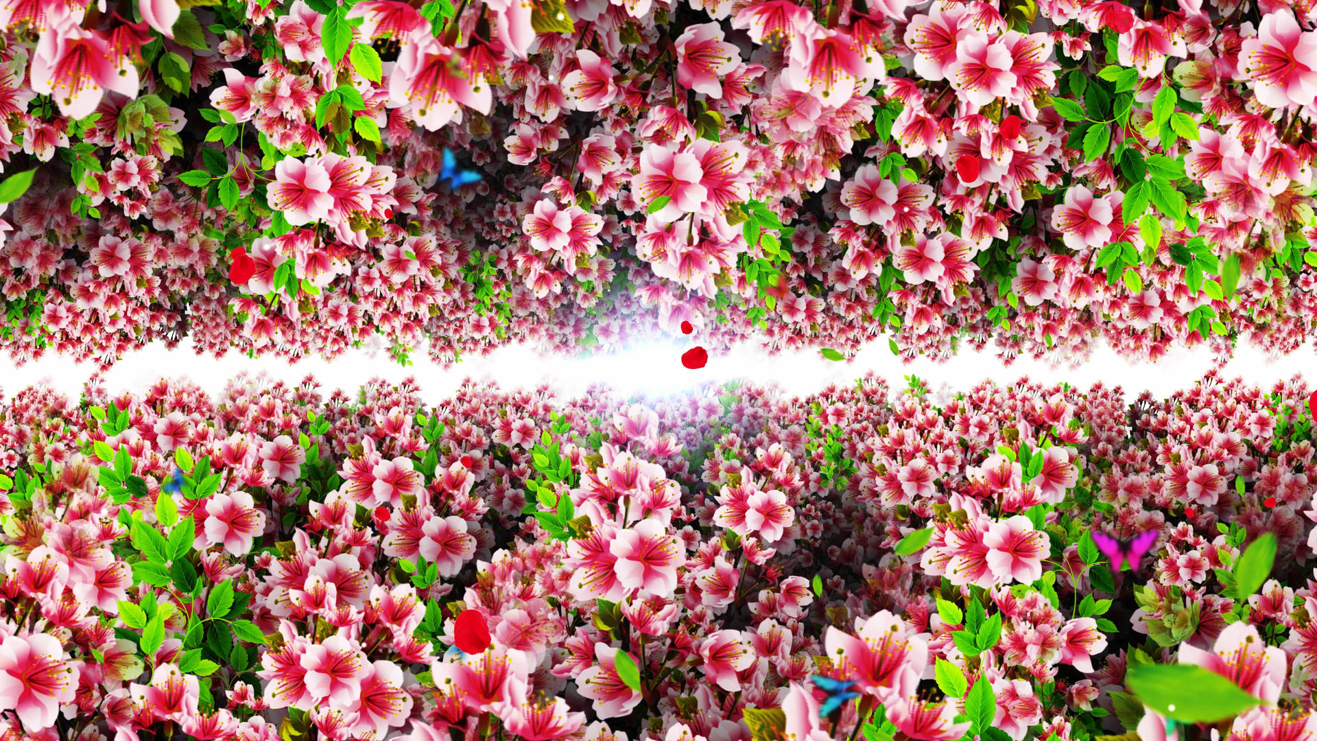 4K唯美的桃花穿梭背景素材视频的预览图