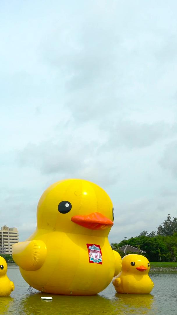 大黄鸭在城市公园延时视频的预览图
