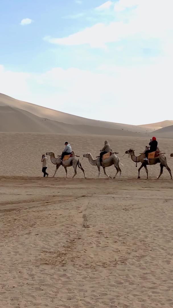 鸣沙山沙漠骆驼视频是甘肃著名旅游景点视频的预览图