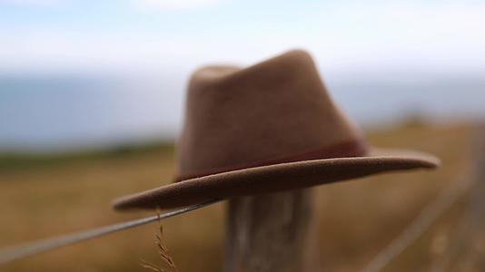 棕色的帽子坐在铁丝栅栏上的木杆上视频的预览图