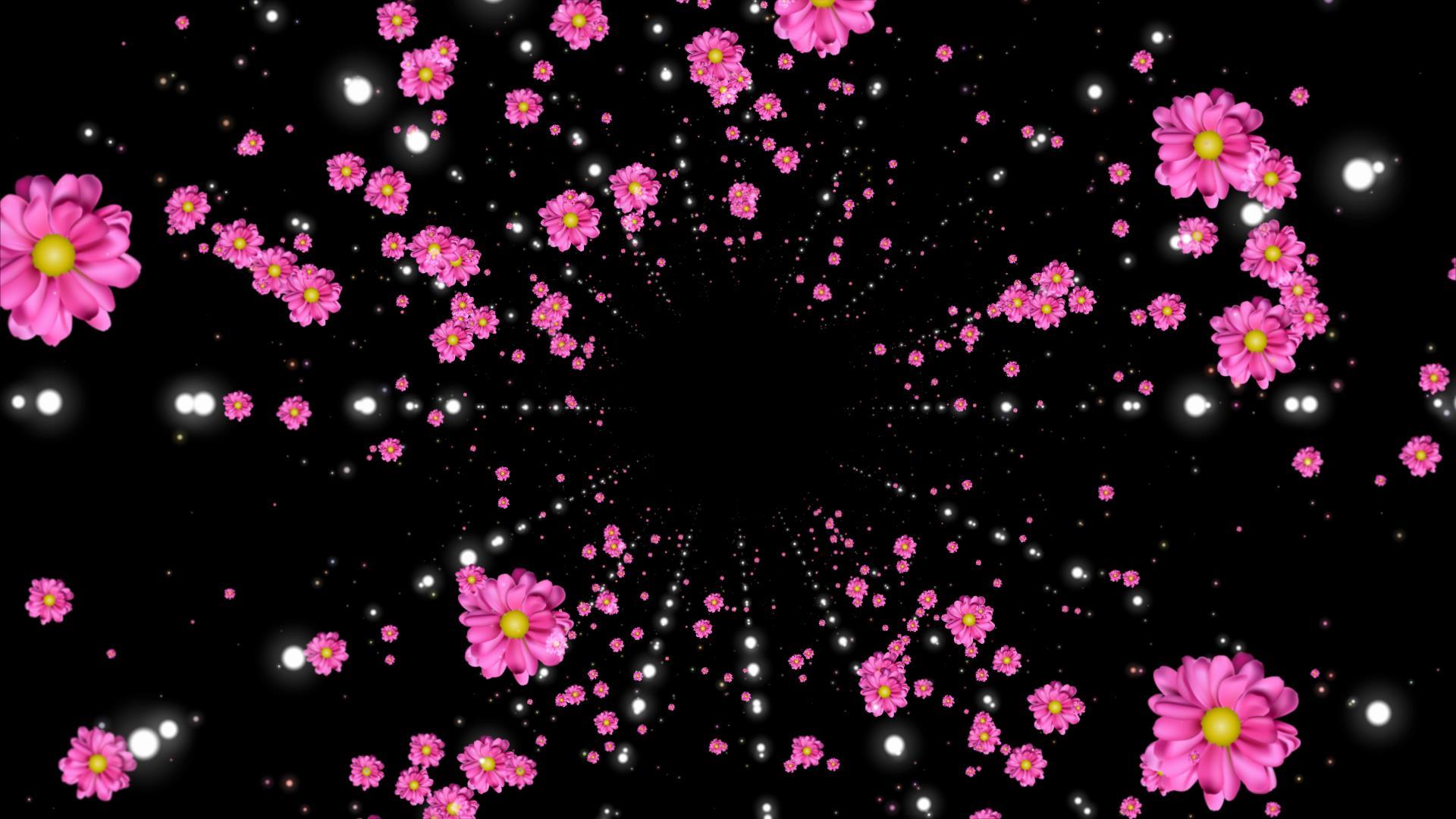 花朵冲屏带通道视频的预览图
