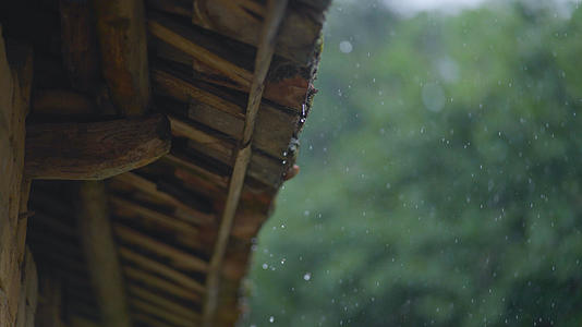 春天春雨下雨农村瓦房雨滴唯美治愈视频的预览图