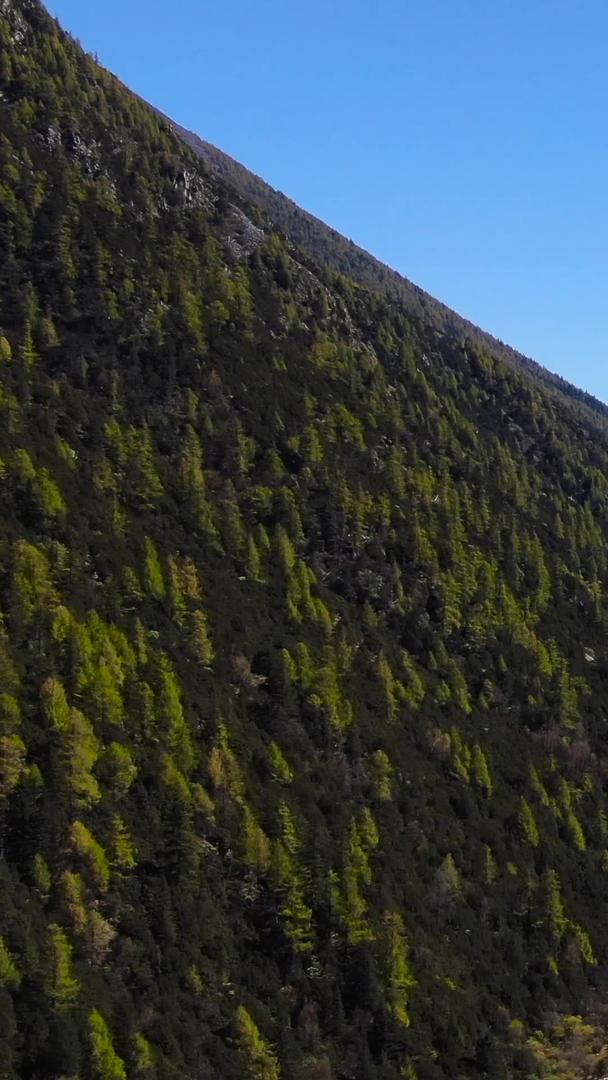 航拍高原雪山亚拉雪山风景视频视频的预览图