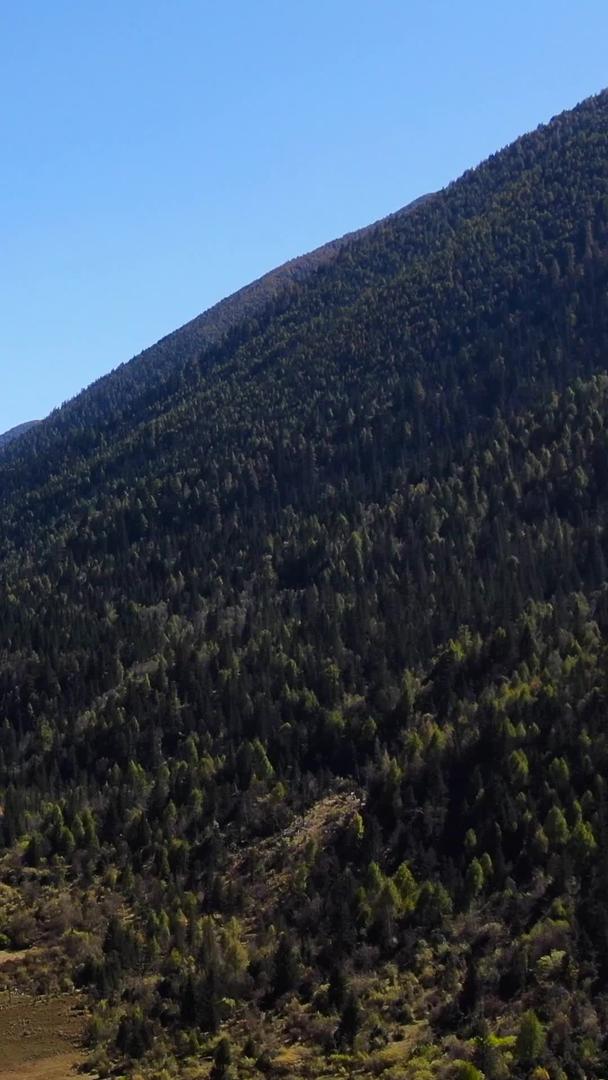 航拍高原雪山亚拉雪山风景视频视频的预览图