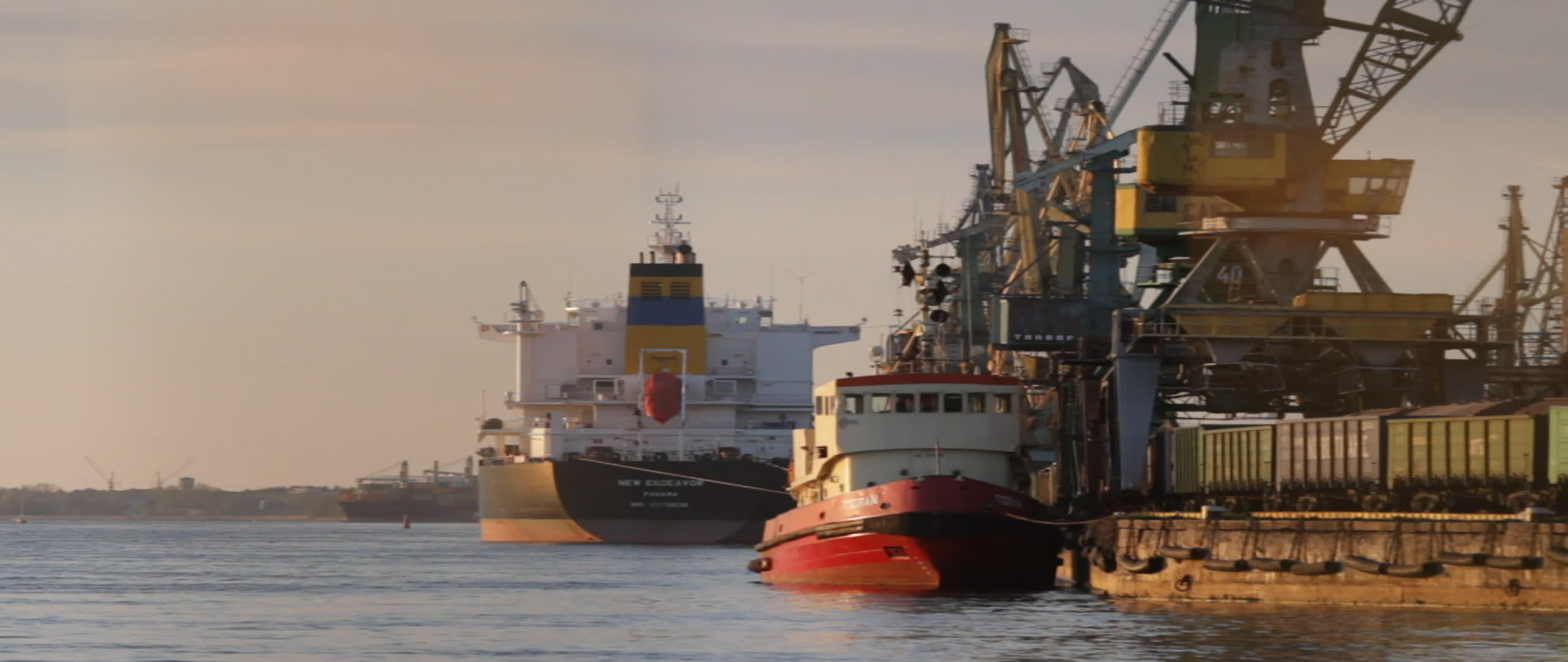 运输物流码头的起重机视频的预览图