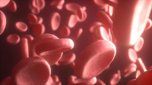 微观体内红细胞三维无缝循环动画视频的预览图