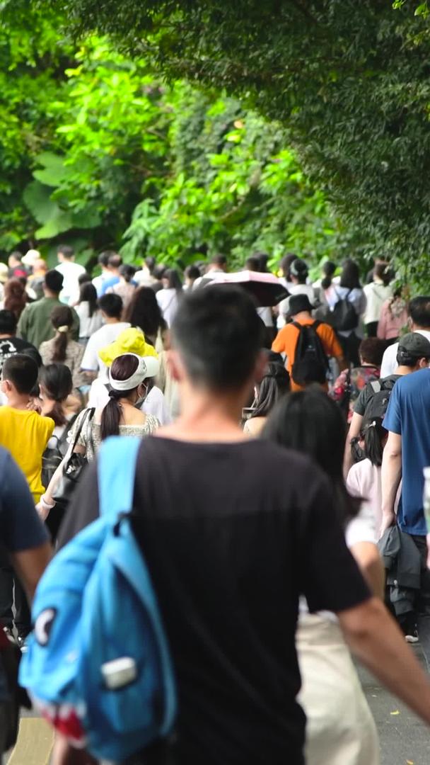 来自深圳仙湖植物园的游客视频的预览图
