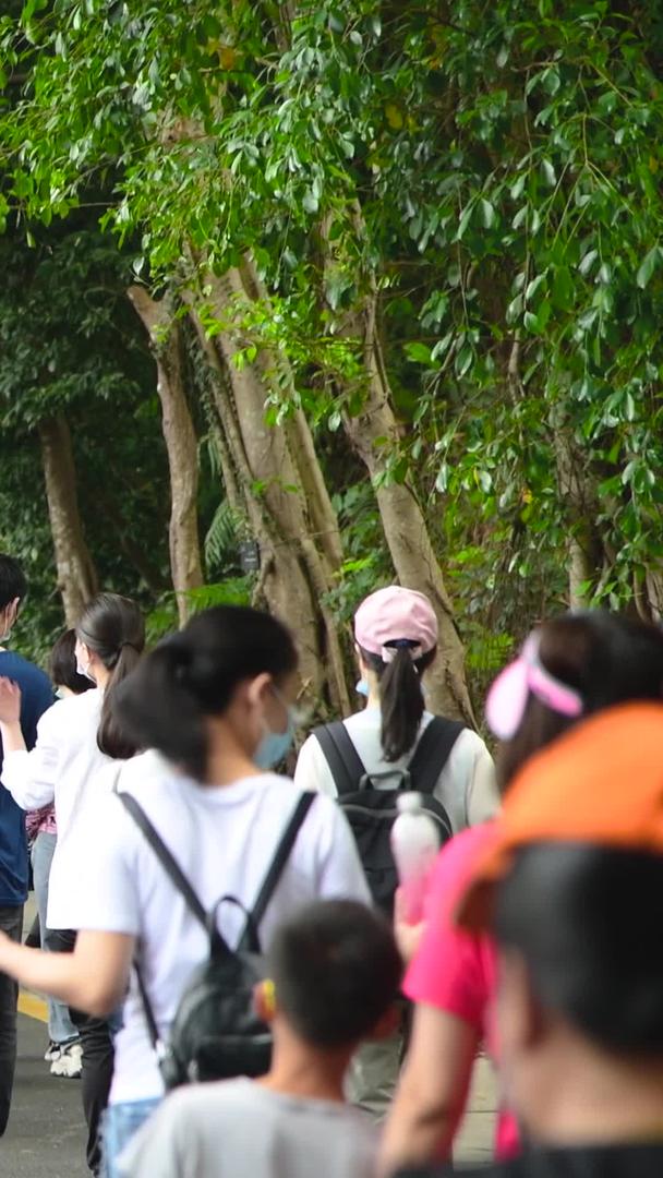 来自深圳仙湖植物园的游客视频的预览图