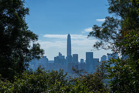 4K深圳城市最高楼平安大厦视频的预览图