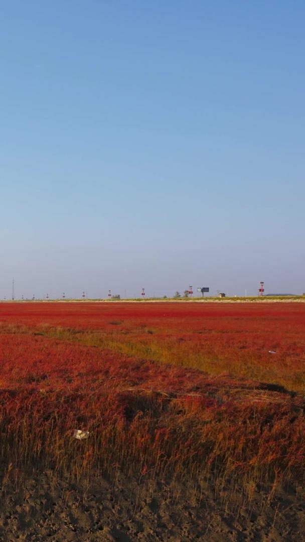 辽宁省盘锦市红海滩国家风景廊道5A级景区视频的预览图