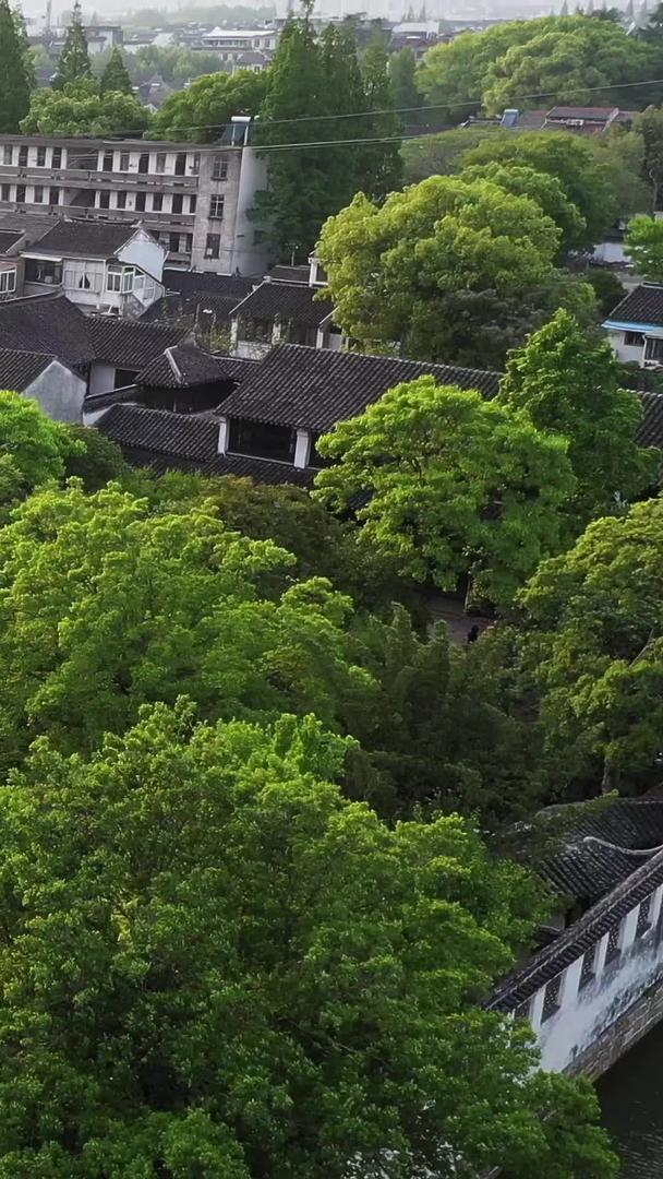 苏州古典园林藕园视频的预览图