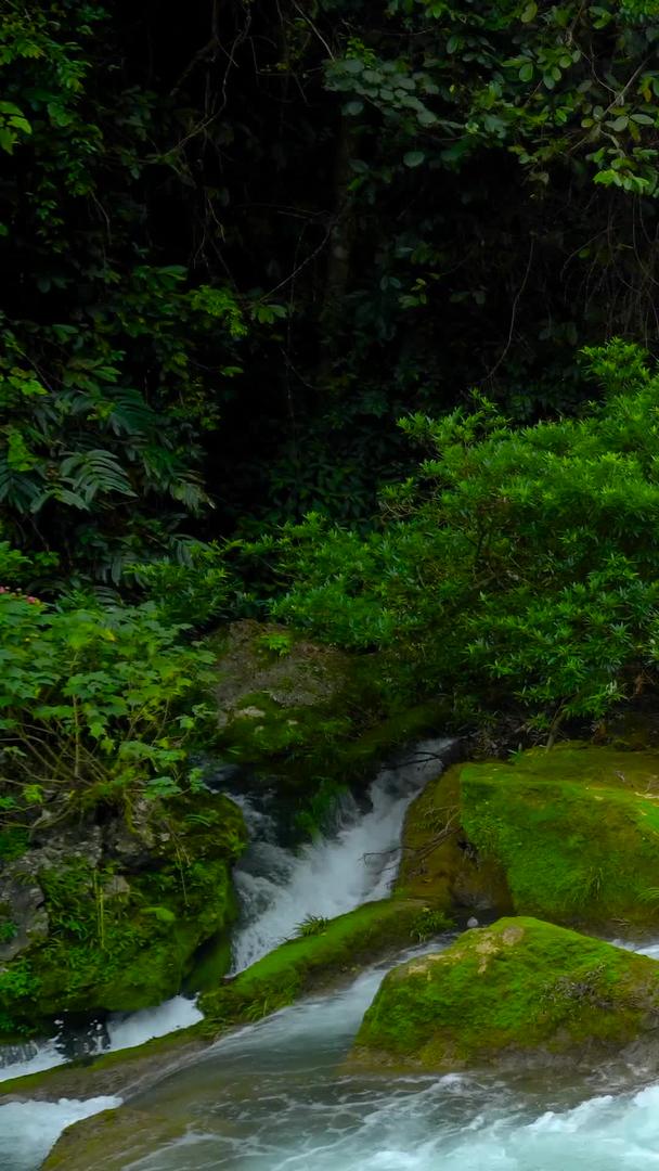 贵州省山谷岩石溪流视频的预览图