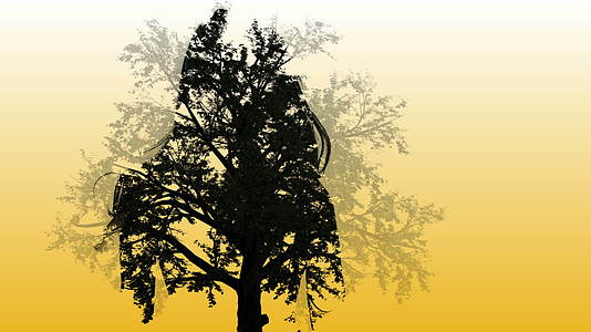混合介质由树上的两个三维动画和女孩的轮廓组成视频的预览图