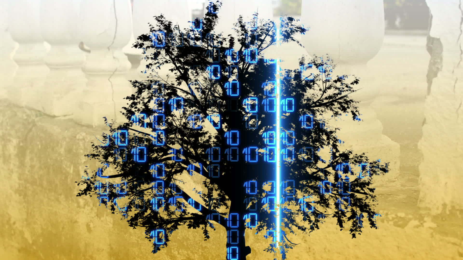 智慧树视频的预览图
