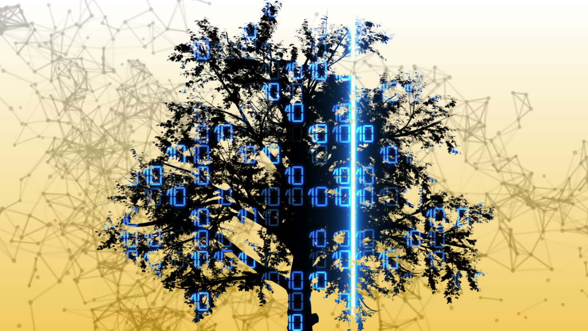 两个三维动画混合介质来自树木和二进制代码视频的预览图