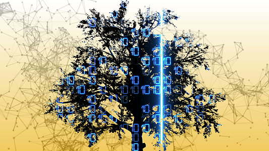 两个三维动画混合介质来自树木和二进制代码视频的预览图