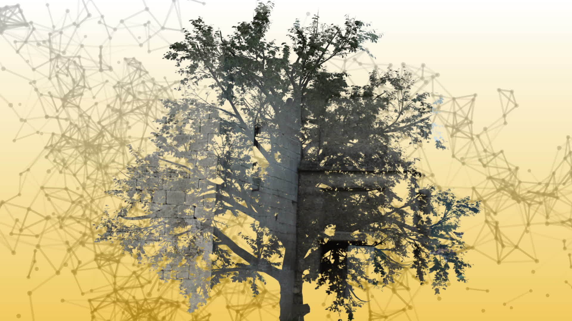 树形三维动画视频的预览图