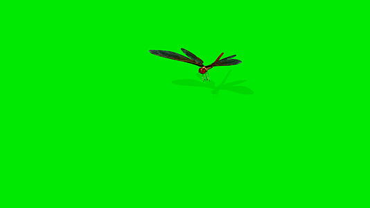 3D在绿绿屏上的飞动画视频的预览图